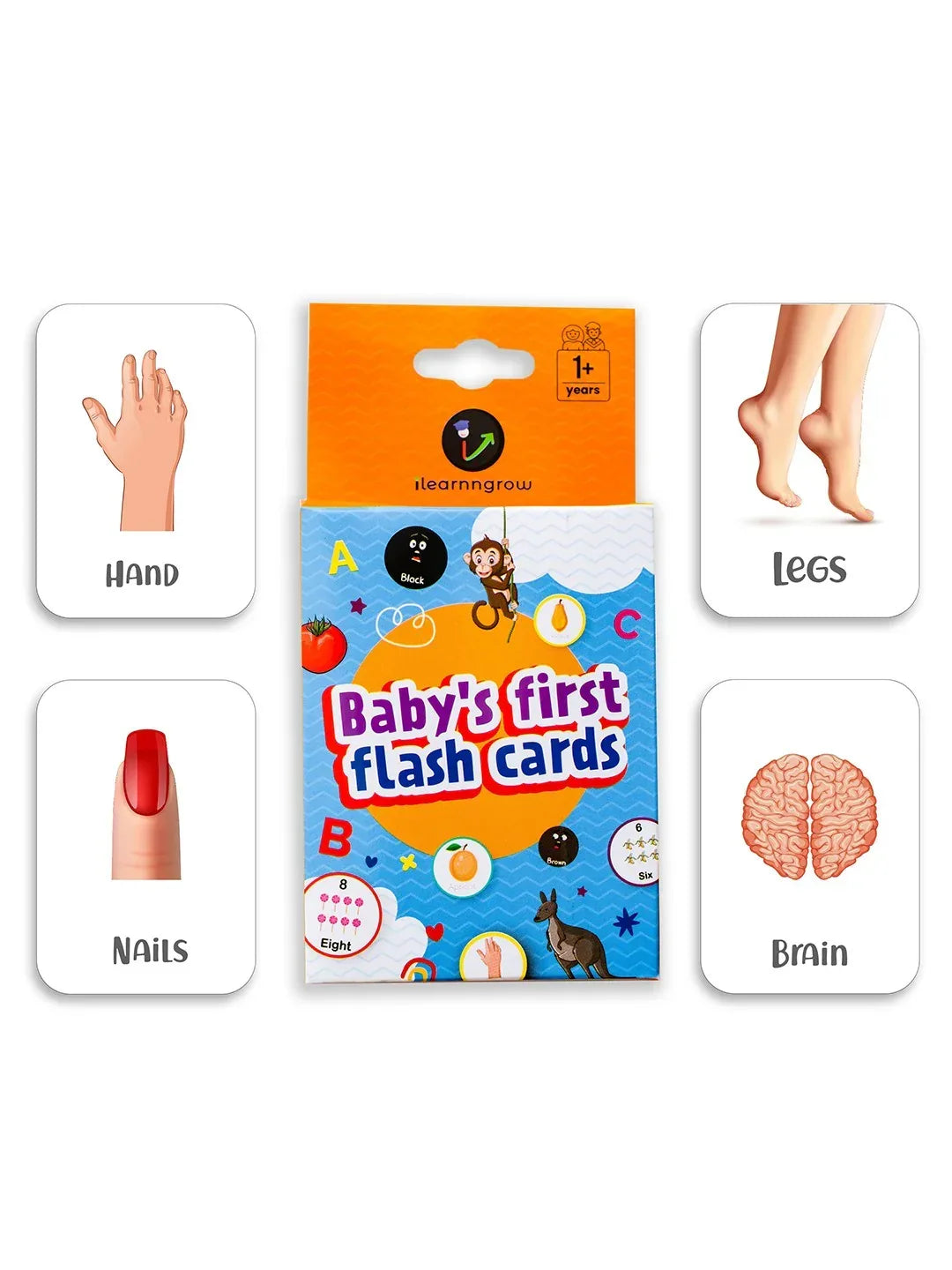 iLearnNGrow Baby’s First Body Parts Flash Cards – Educational Learning Flashcard Set for Kids