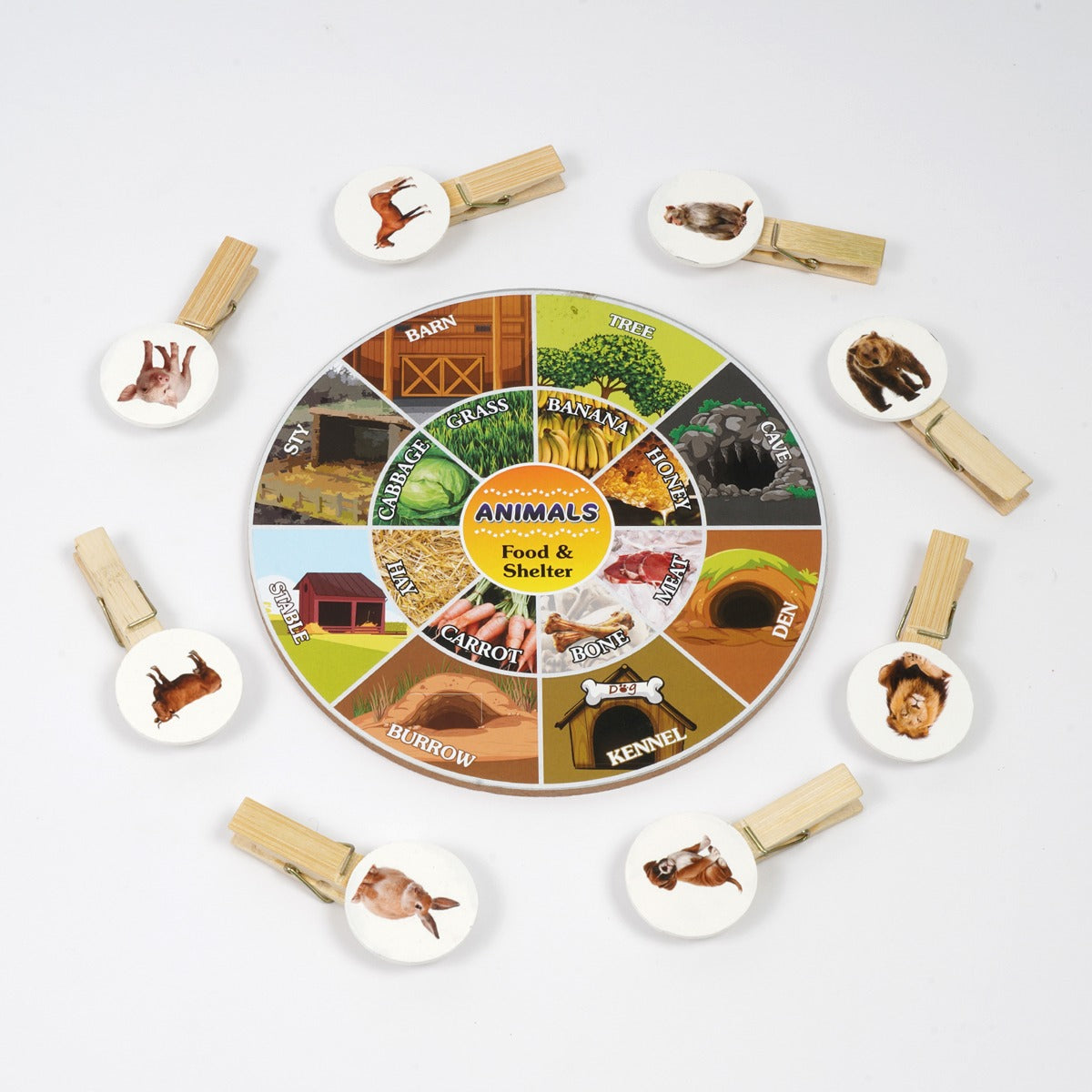 Early Skills Development Toys for Toddlers (2-3yrs)