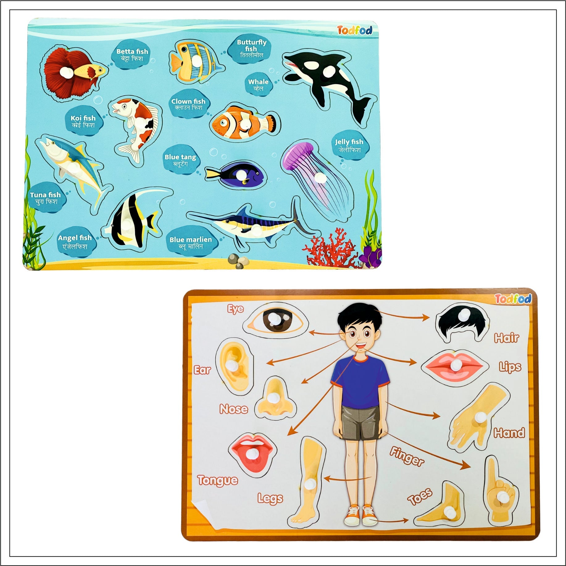 Fish & Body Parts Puzzle