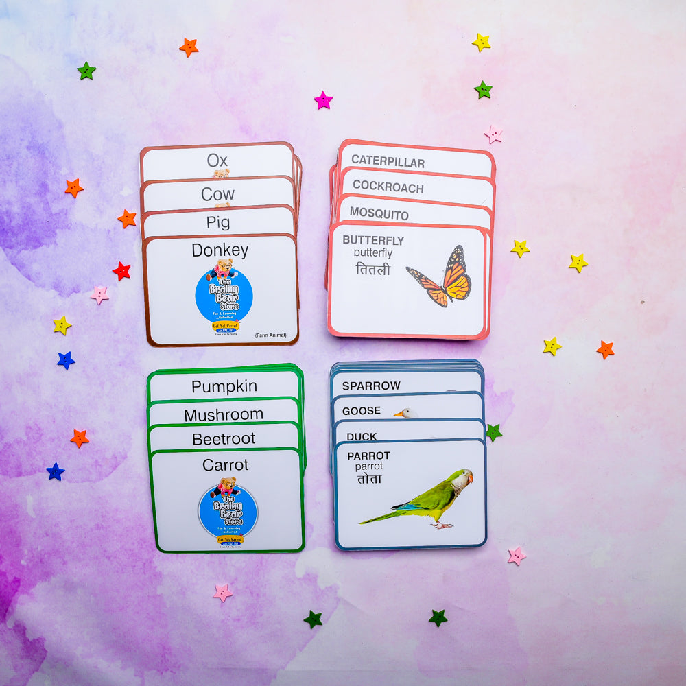 Flash Cards - (Farm Animals, Insects, Vegetables and Birds)