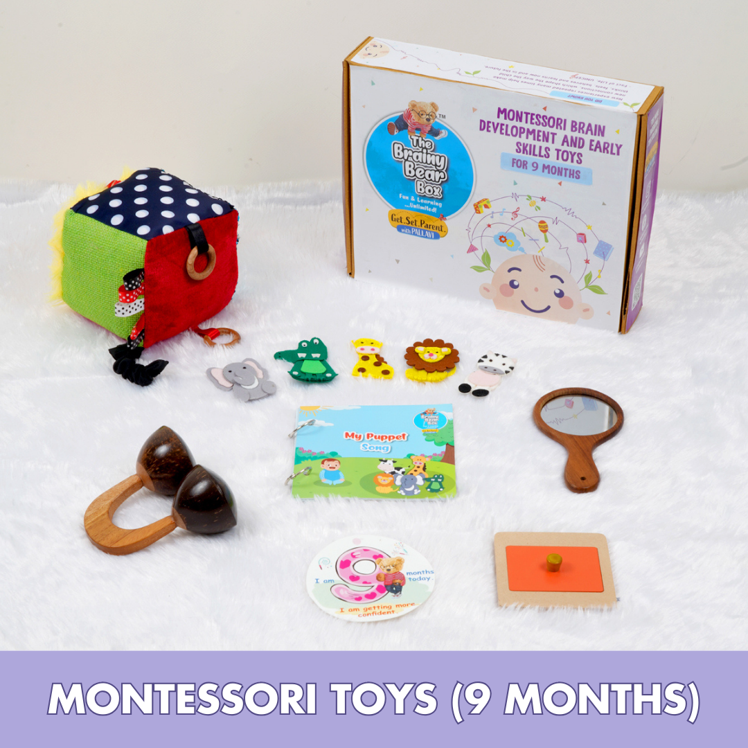 Montessori Activity Toys for 9 Months