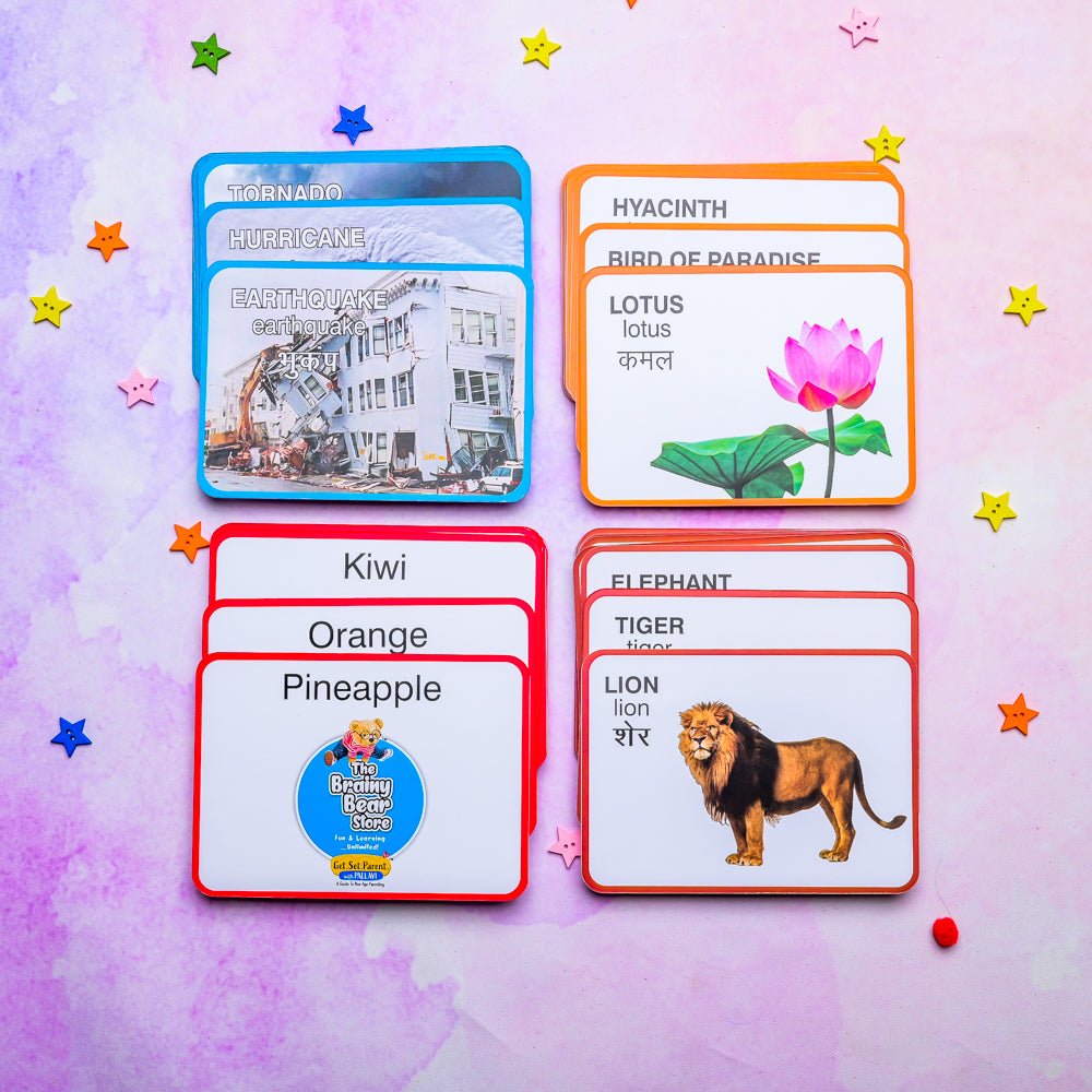 Flash Cards -(Natural Phenomena, Fruits, Flowers and Wild Animals)