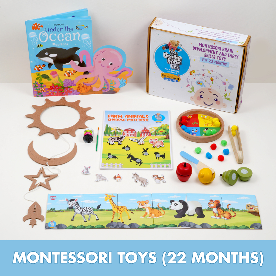 Montessori Activity Toys for 22 Months