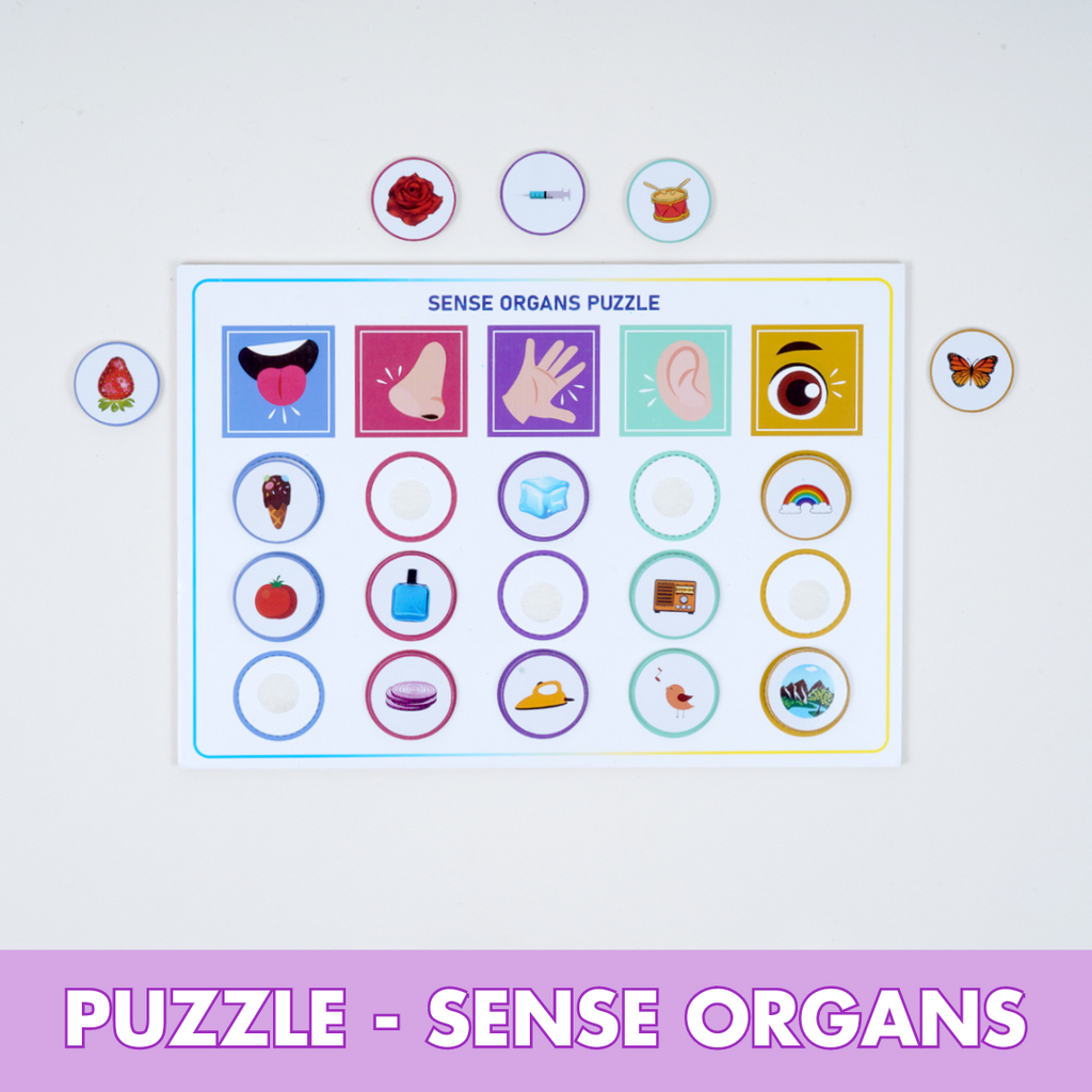 Montessori Activity Toys for 17 Months