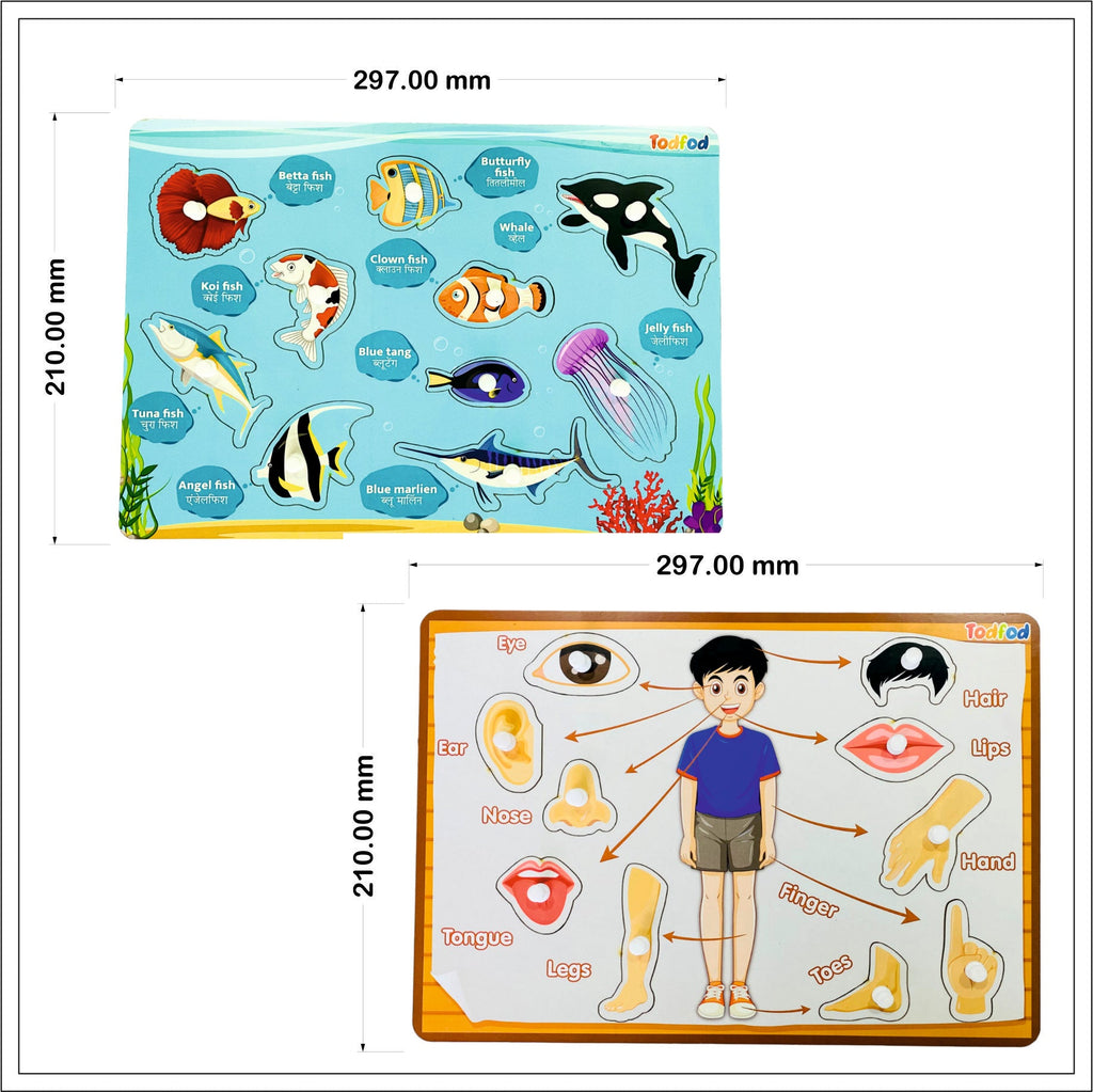 Fish & Body Parts Puzzle