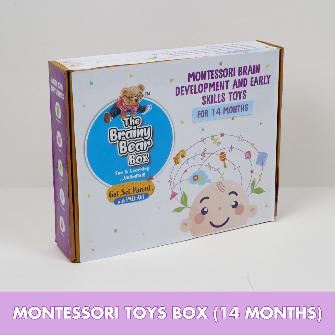 Montessori Activity Toys for 14 Months