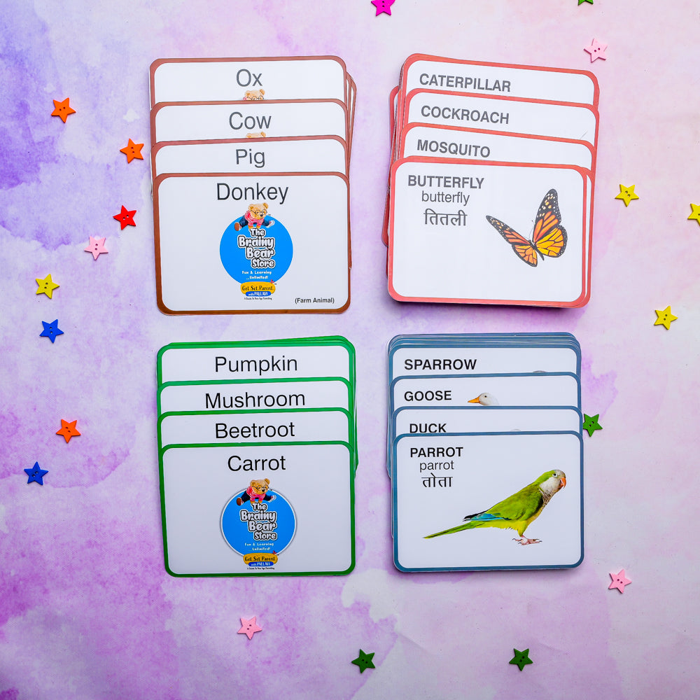 Flash Cards - (Farm Animals, Insects, Vegetables and Birds)
