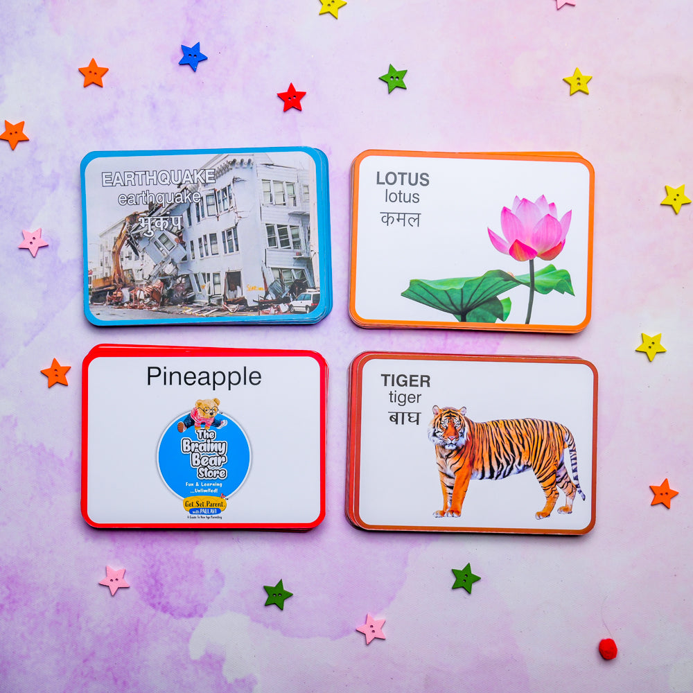 Flash Cards -(Natural Phenomena, Fruits, Flowers and Wild Animals)