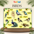 Birds & Vehicle Characters Knob & Pegged Puzzle for Kids