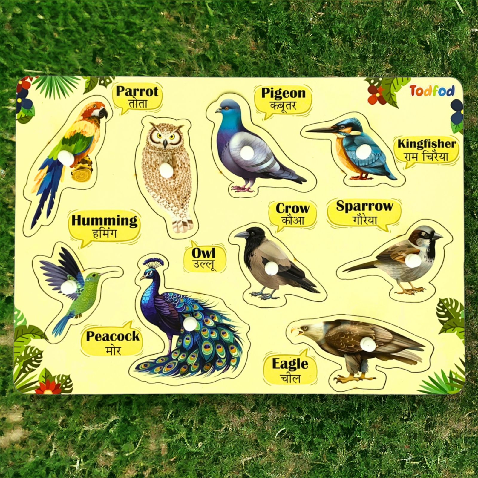 ABCD & Bird Characters Knob & Pegged Puzzle for Kids