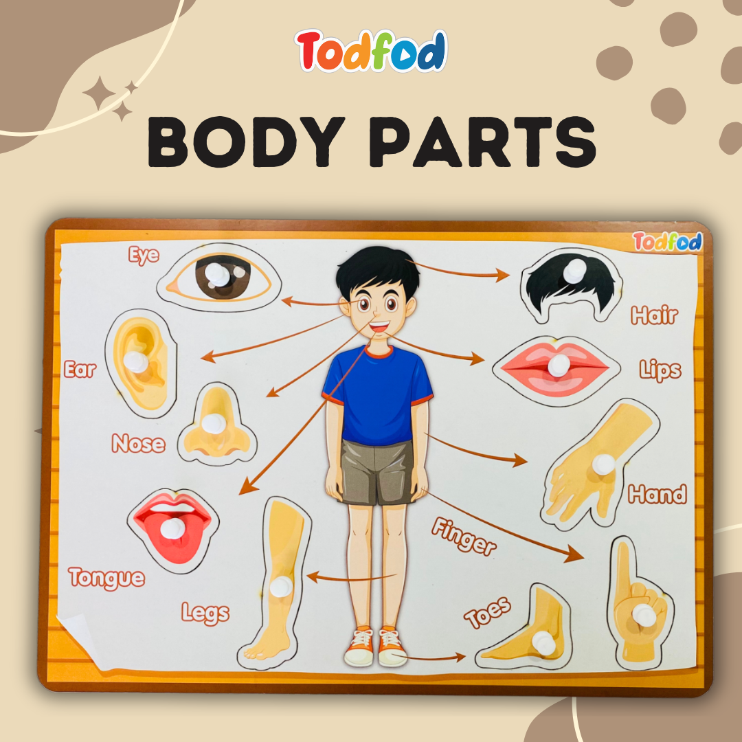 Wild Animal & Body Parts Characters Knob & Pegged Puzzle for Kids