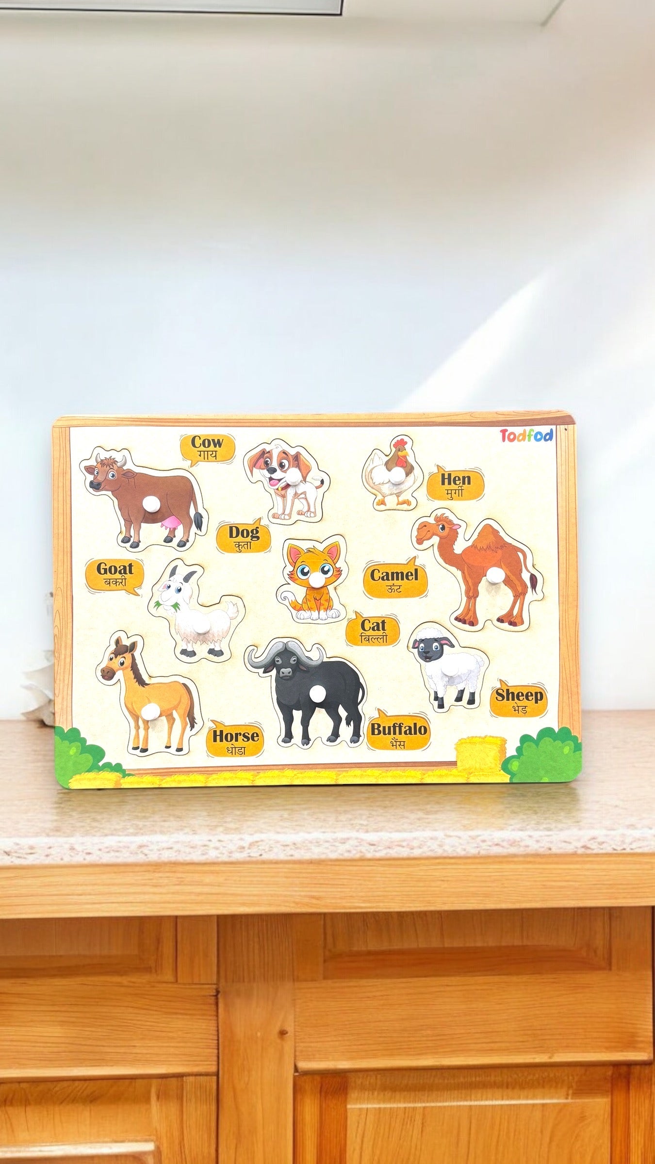 ABCD & Pet Animal Characters Knob & Pegged Puzzle for Kids
