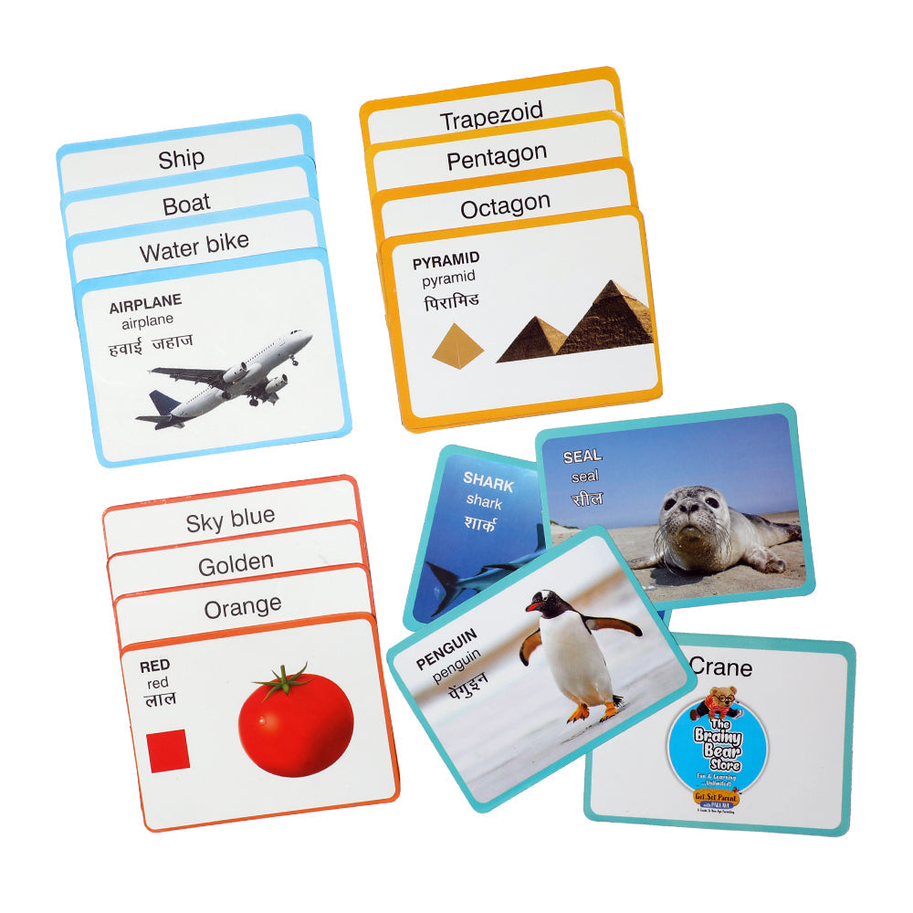 Flash Cards -(Means of Transport, Colors, Shapes, Aquatic Life)