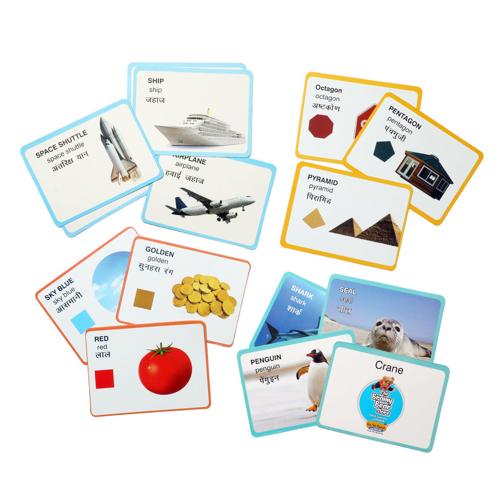 Flash Cards -(Means of Transport, Colors, Shapes, Aquatic Life)
