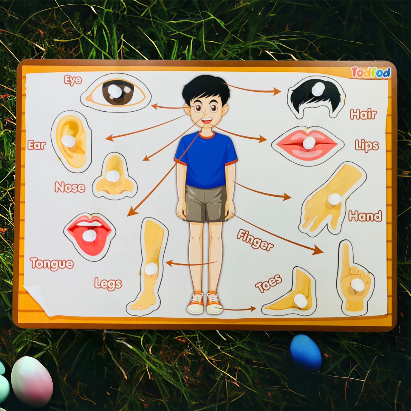 Body Parts & Shapes Characters Wooden Knob & Pegged Puzzle for Kids