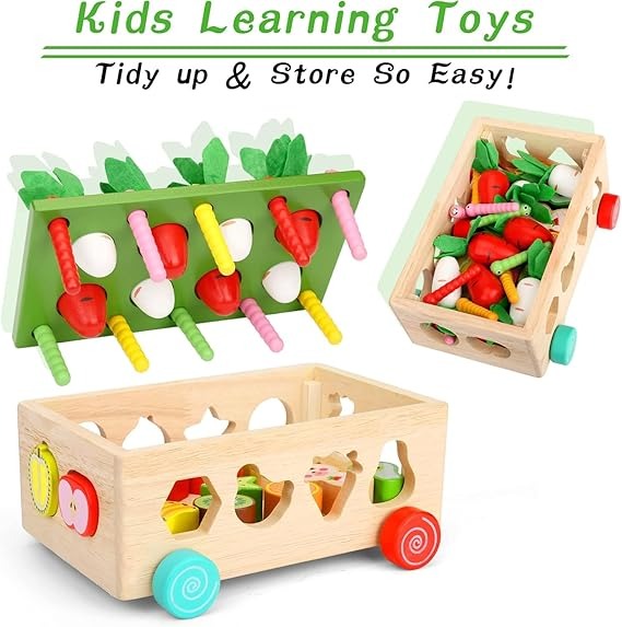 Wooden Carrot Harvest Educational Toy