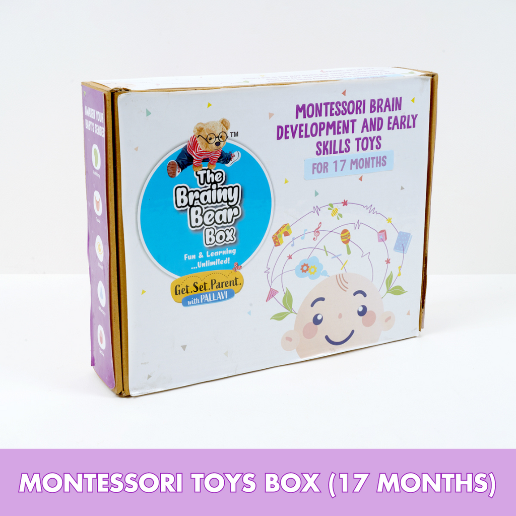 Montessori Activity Toys for 17 Months