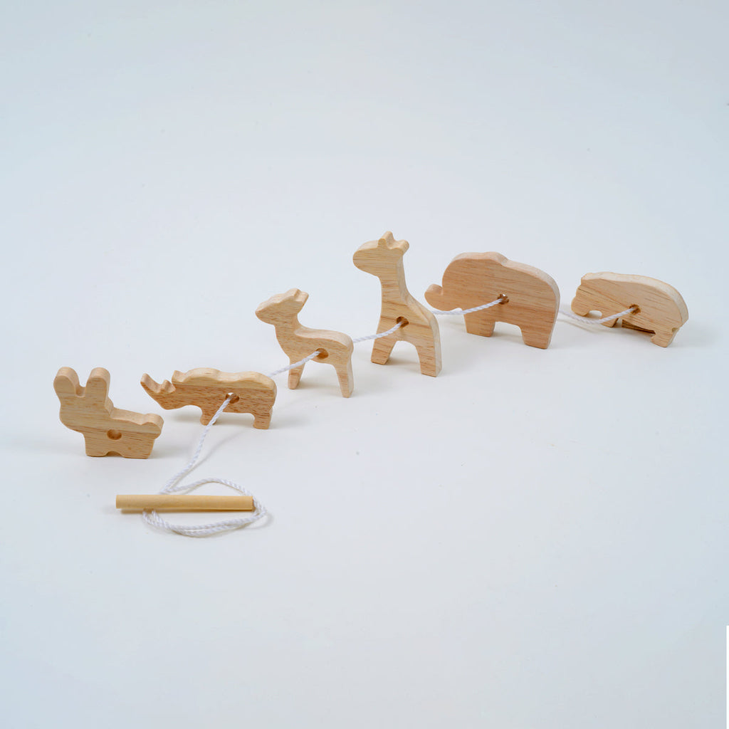 Montessori & Brain Development Toys for 16-18 Months