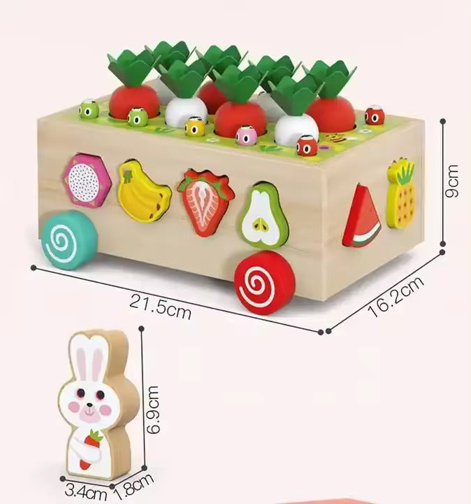 Wooden Carrot Harvest Educational Toy