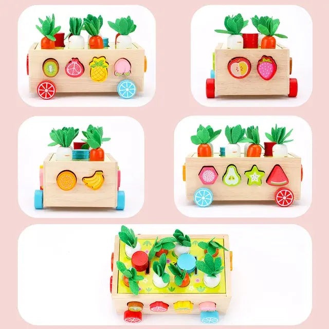 Wooden Carrot Harvest Educational Toy