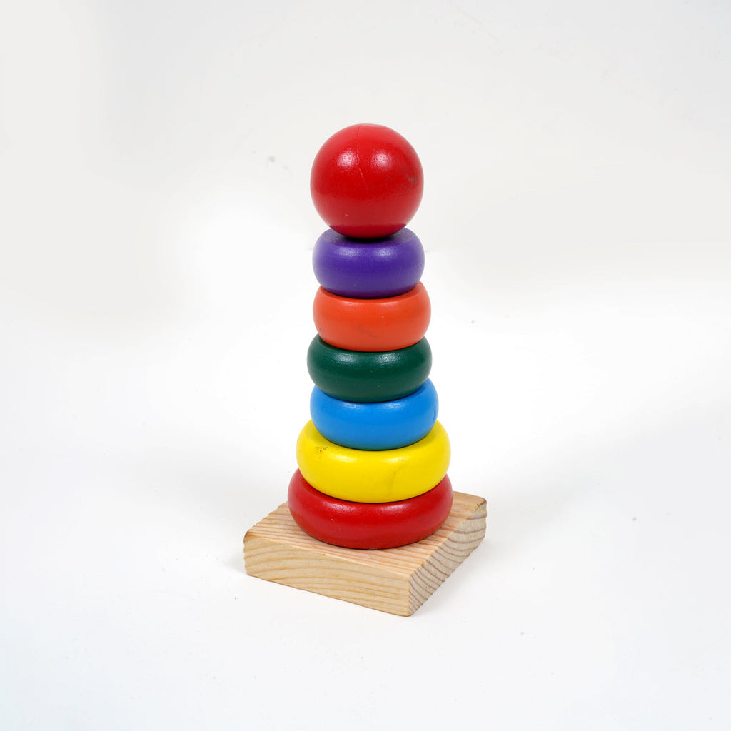 Montessori & Brain Development Toys for 10-12 Months