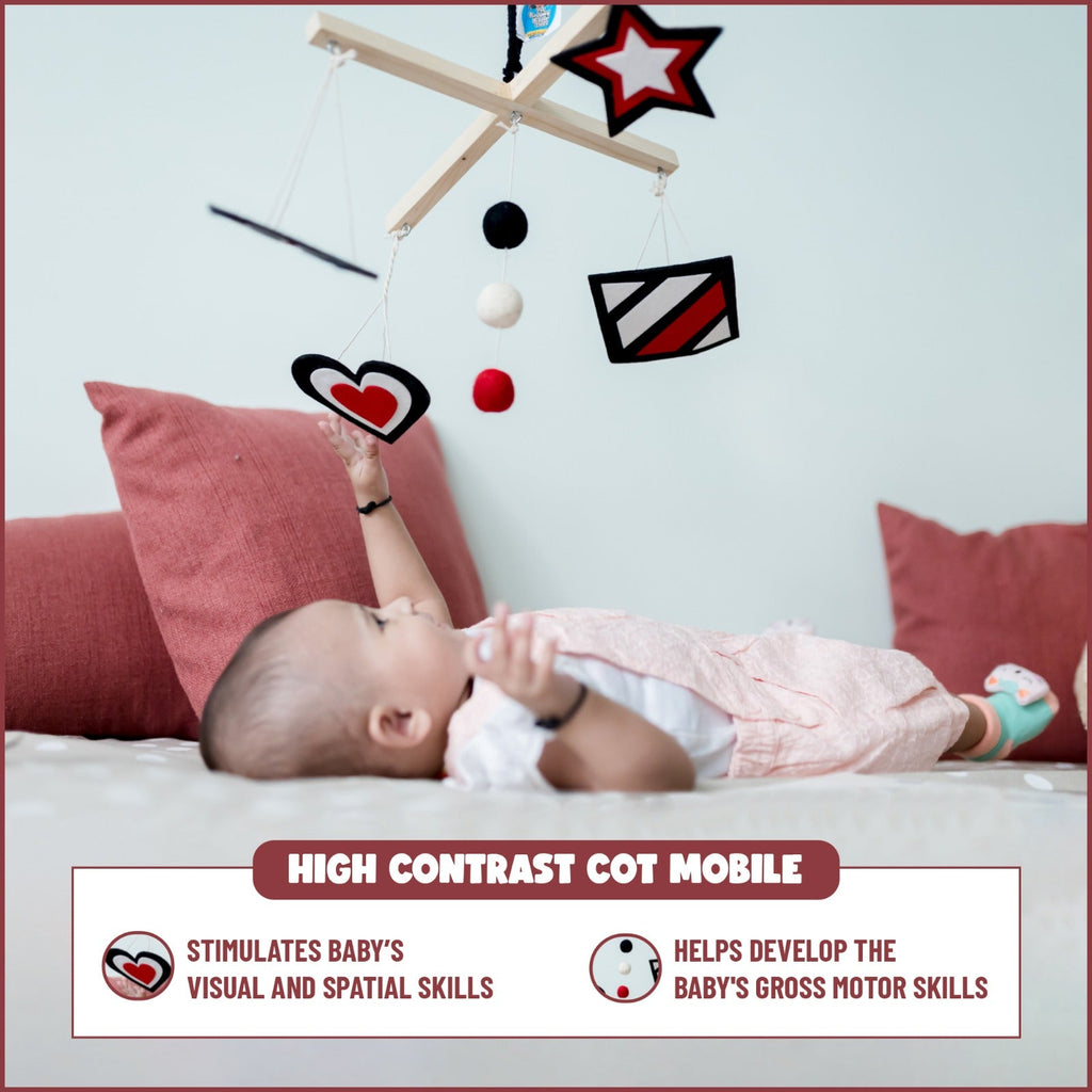 Montessori Activity Toys for 0-3 Months